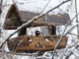 Народні прикмети на 26 лютого. Чому українці цього дня уникали гучних розваг, танцювати і співати