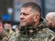Оце так! Залужний розповів, що Румунія просила його мовчати щодо падіння дронів на її території