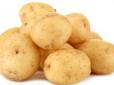 Ганьба 