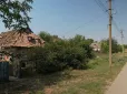 Напав біля будинку: У одному із сіл Запорізької області жінку покусав шакал (відео)