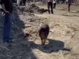 Джесі не розуміє, що 