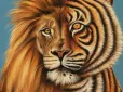 Що ви побачили першим - лева чи тигра? Психологічний тест, який розкриває вашу особистість