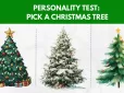 Перевірте себе! Яку ялинку оберете? Тест покаже вашу справжню сутність
