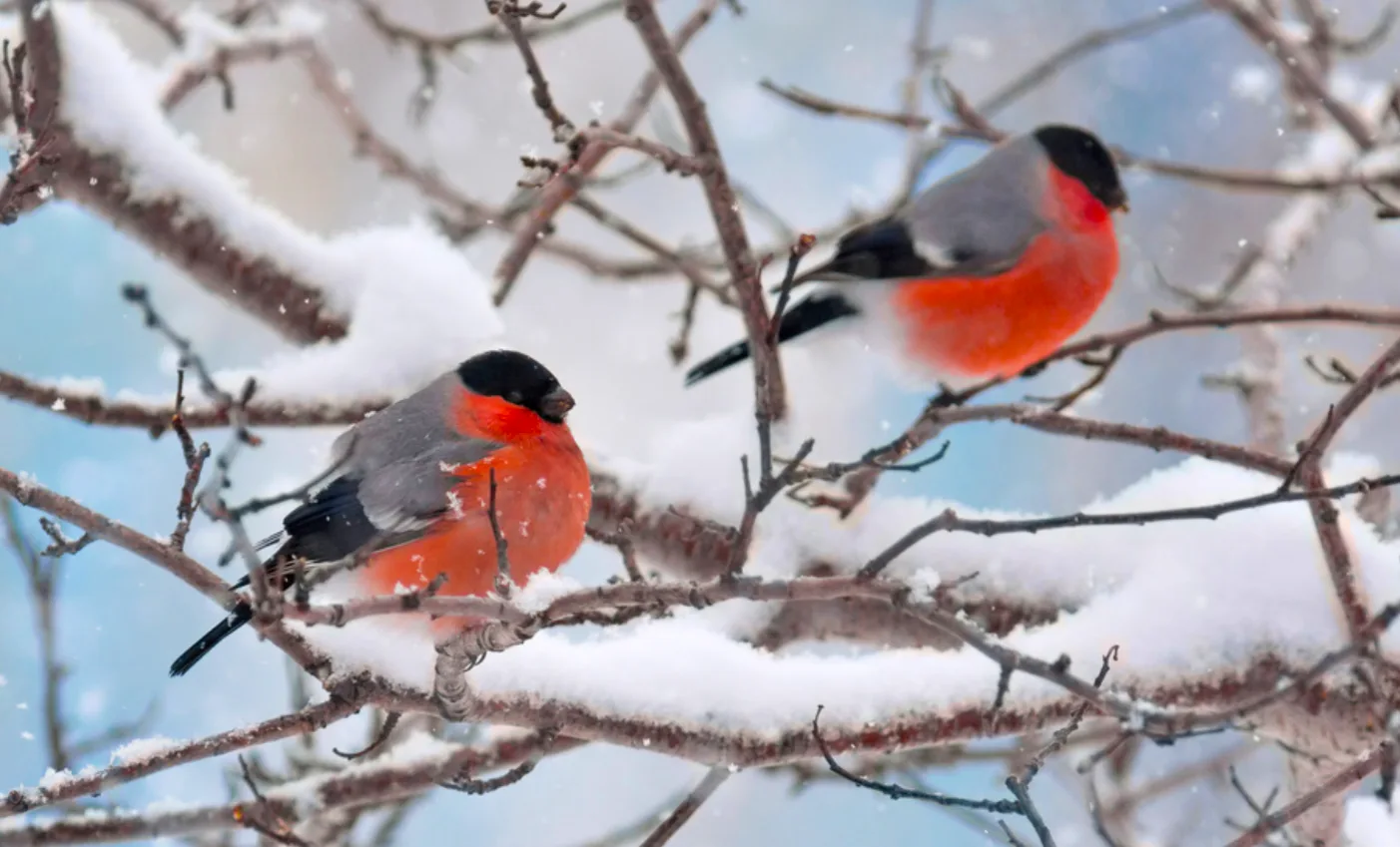 Синоптики уточнили прогноз погоди по Україні на вихідні