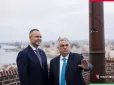 Годину теревеніли за зачиненими дверима: Навроцький та Орбан провели зустріч у Будапешті